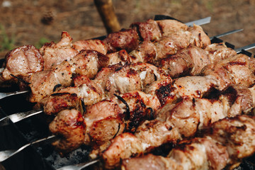 Closeup of some meat skewers being grilled in a barbecue