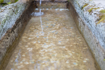 Stone old bath holy water spring with lucky coins background. Luck coin throw tradition.