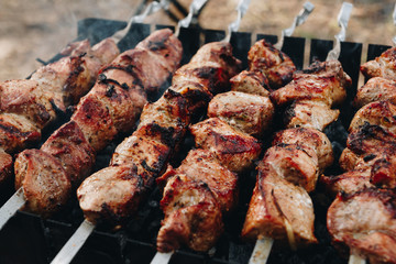Closeup of some meat skewers being grilled in a barbecue