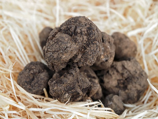 Gourmet food, pile of whole truffles