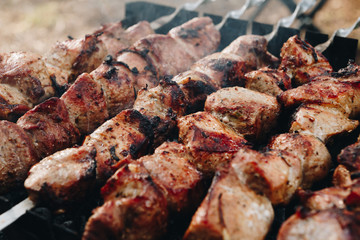 Closeup of some meat skewers being grilled in a barbecue