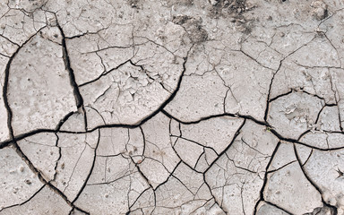 Dry cracked ground. Natural background. Chernozem and agriculture in the period of extreme drought. The texture of the desert close up.