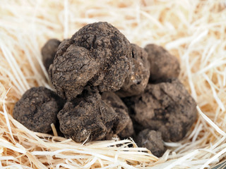 Gourmet food, pile of whole truffles