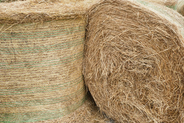 Haystacks on horse farm close up