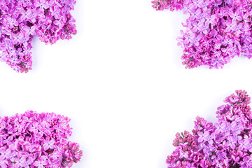 Bouquet of lilac flowers isolated on white background. Syringa vulgaris. Copy space. Greeting card.