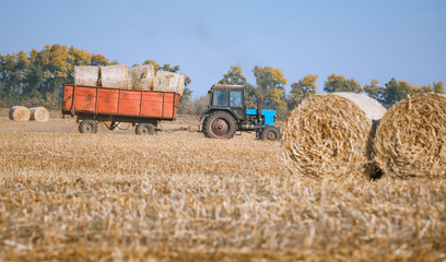 Obraz premium Hay bail harvesting in wonderful autumn farmers field landscape with hay stacks