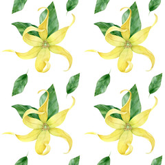 Watercolor ylang ylang collection