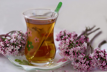 cat grass and tea