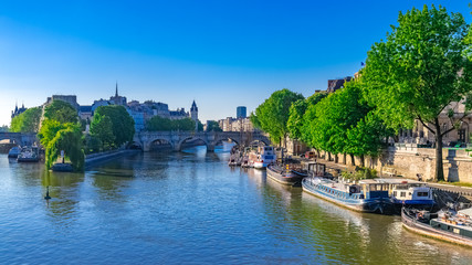 Fototapeta na wymiar Paris, view of the Pont-Neuf and the ile de la Cité