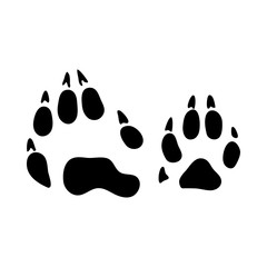 Raccoon Footprint