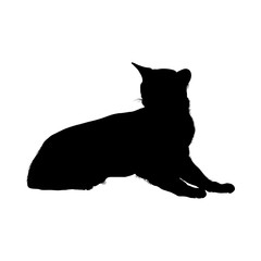 Cat Silhouette