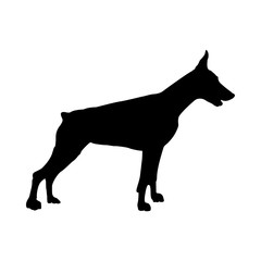 Doberman Dog Silhouette