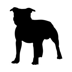 Staffordshire Terrier Dog Silhouette - obrazy, fototapety, plakaty