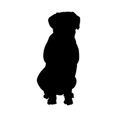 Dalmatian Dog Silhouette