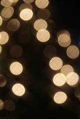 Christmas Tree with Multi Colored Lights