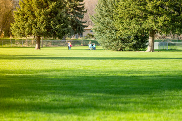 Beautiful  sunny day in the park. Parents an children has an activity time in a park. Day sunny light. Perspective to copy space.
