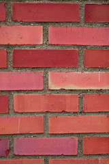 Red brick wall. Texture. Close-up