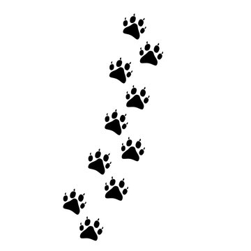 Paw of animal footprints. Vector illustration.