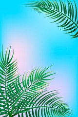 Fototapeta na wymiar Tropical palm background
