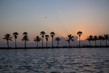 Sunrise at Matheson Hammock, Florida