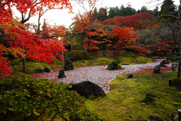 quiet autumn in the garden at a Japanese temple.