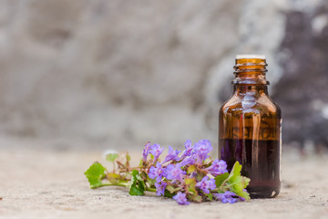 pharmaceutical bottle of medicine from Glechoma hederacea, Nepeta glechoma Benth., Nepeta hederacea, ground-ivy, gill-over-the-ground