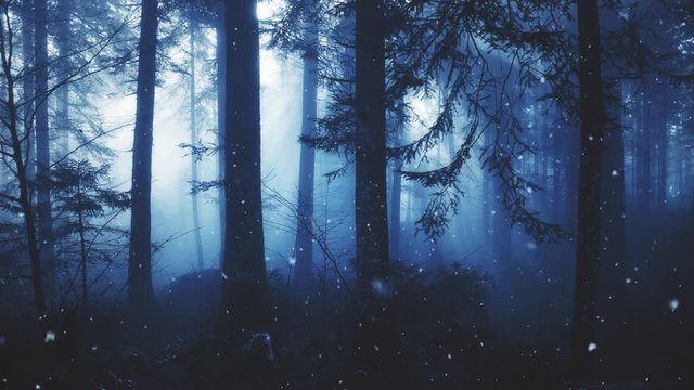 Beautiful snowfall in deep dark blue foggy forest landscape.