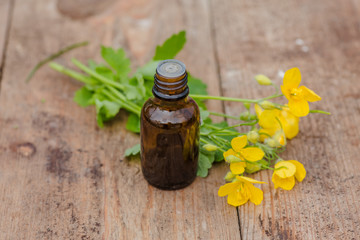 pharmaceutical bottle of medicine from Yellow flowers of Chelidonium majus, celandine, nipplewort, swallowwort or tetterwort on a wooden table. Growing on street blooming in spring celandine.