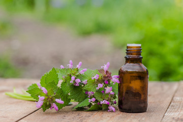 pharmaceutical bottle of medicine from Thymus vulgaris, common thyme, German, garden or just thyme...