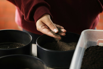 soil sample from a golf course