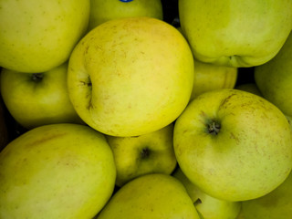a bunch of apples on the table