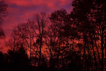 Fototapeta na wymiar Fiery Sunset