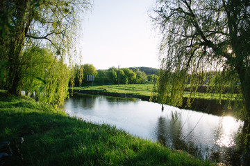Spring evening sunny landscape near the river