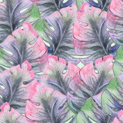 Watercolor tropical seamless floral pattern. Colorful paint background with monster leaves. Pink and green texture. Floral mix artwork