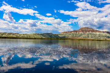 NALLIHAN KUŞ CENNETİ