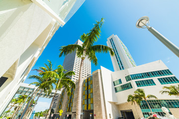 Fototapeta na wymiar Downtown Miami under a shining sun