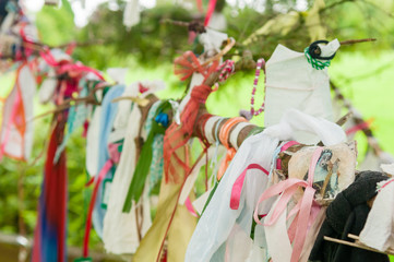 Ribbons, cloth and gifts hanging from the branches of a tree at the Holy Well shrine for Saint...