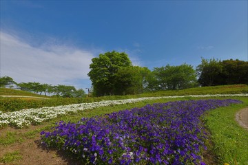 馬見丘陵公園
