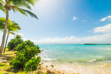 Bas du Fort beach in Guadeloupe