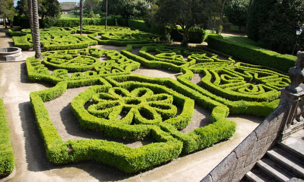Hedges trimmed with shapes in the gardens of Pazo Mari&ntilde;&aacute;n in Galicia. Aristocratic palace.