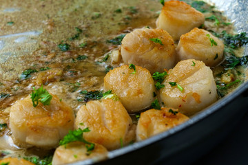 Seared Portuguese Garlic Scallops