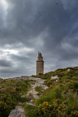 Fototapeta na wymiar Old lighthouse of A Coruña in Galicia, Spain. The oldest lighthouse in the world in operation. Hercoles tower, stone tower facing the sea surrounded by grass.