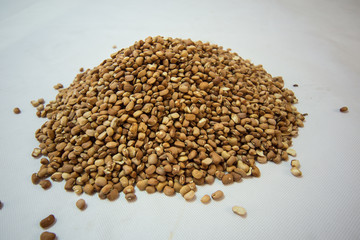 nigeria brown beans