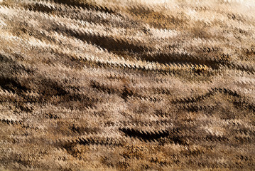DIGITAL WOOD