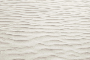 Fototapeta na wymiar background - sand dunes