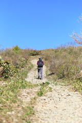 Obraz premium 禿岳登山道を登る女性