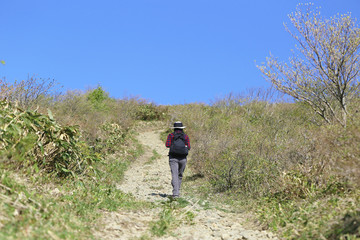 Fototapeta premium 禿岳登山道を登る女性