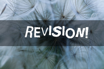 Writing note showing Revision. Business concept for action of revising over someone like auditing...