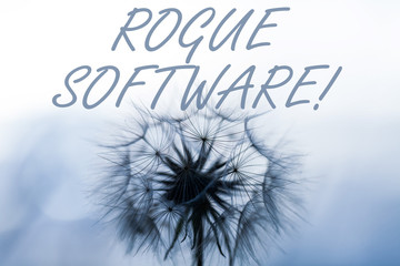 Word writing text Rogue Software. Business photo showcasing type of malware that poses as...