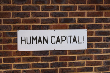 Word writing text Huanalysis Capital. Business photo showcasing quantification of the economic value of a worker s is skill set